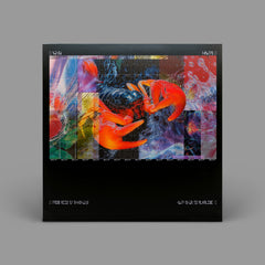 BICEP CHROMA TEE - PLUM + CHROMA SPECIAL EDITION CASE 2x LP